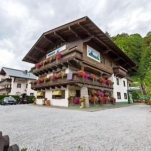 Spacious Apartment in Saalbach-Hinterglemm near Ski Area
